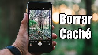 How to clear cache for all apps on Android screenshot 1