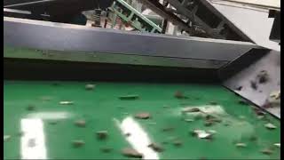 Metal Separator(Induction Sorter)
