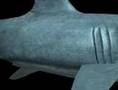 Papervision3D: Shark