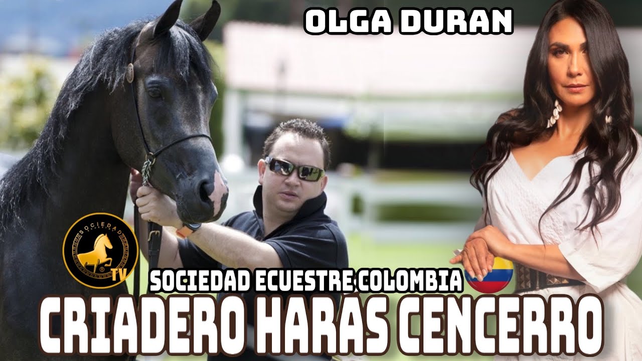 Criadero Harás Cencerro criadero del caballo Árabe número uno en su calidad genética en colombia.