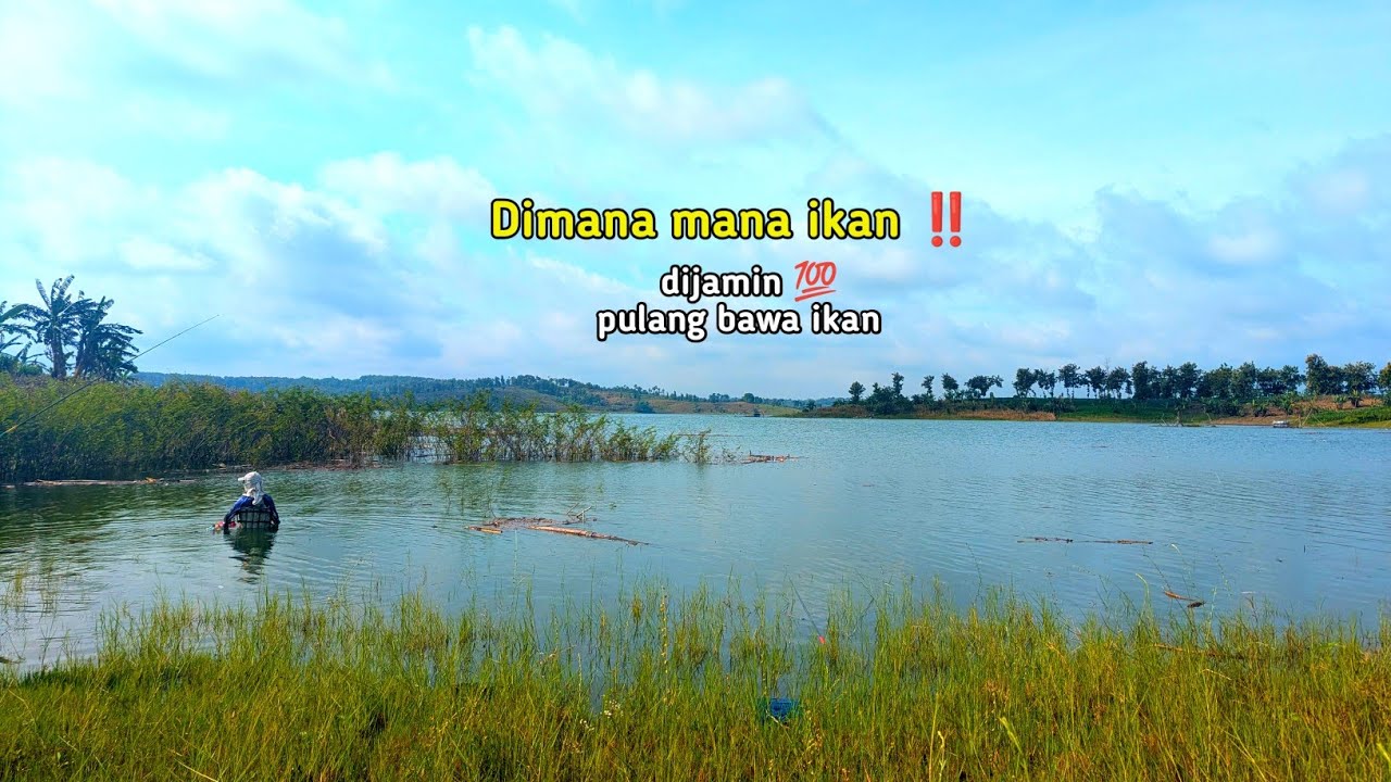 Dimana mana ikan |Wko bagian Utara‼️#fishing #mancing #angler #fish #wko #ikannila #nyobok 