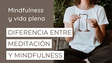 ¿Cuál es la diferencia entre la meditación y el zen?