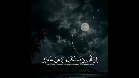 شيخ خالد الجليل اجمل حالات واتس اب دينية سورة غافر قرآن الكريم وقال ربكم ادعوني..🌿🖤
