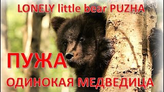 LONELY LITTLE BEAR PUZHA