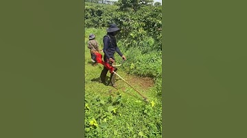 Khách Hàng Lựa Chọn Thêm Chiếc Cắt Cỏ Reload 63x Khủng Long Sau Khi Đã Sở Hữu Kawasaki TJ53