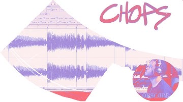 Chopping a Sample from a 300 Sample Catalog (Reason 11 Tutorial)