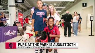 CITY SC announces ‘Pups at the Park’ night for later this season