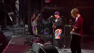 Red Hot Chili Peppers - Snow "Hey Oh" (Live)