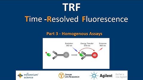 TRF Assays | Part 3 Homogeneous assays