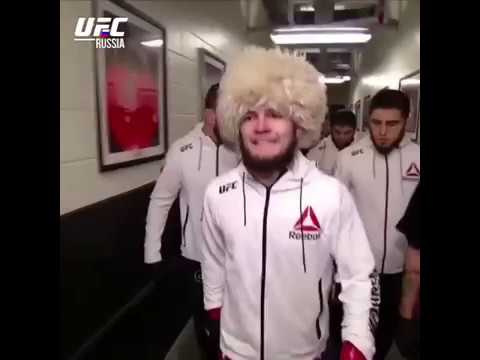 песня выхода хабиба. сабина саидова и хабиб. сабина саидова хабиба нурмагомедова. песня выхода хабиба. с каким флагом выходит хабиб.