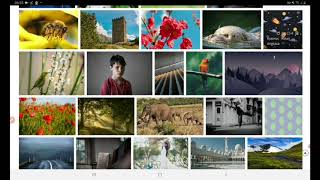 Download Video dan Gambar Gratis Tanpa Copyright |Pixabay Surganya Content Creator