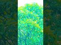nature 🌳🥰