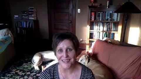 About "Symbolic Logic and Argumentation"