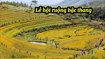 Lễ hội - ruộng bậc thang - tỉnh Phú thọ 2025 