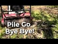 Watch This Tree of Heaven Pile Disappear