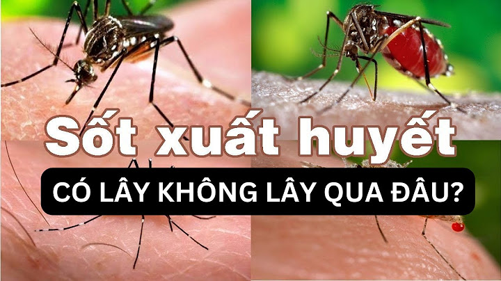 Sốt xuất huyết có lây qua đường nào năm 2024