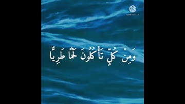 وَمَا يَسْتَوِي الْبَحْرَانِ...|من سورة فاطر|أحمد الشافعي|تدبَّر بعمق.. 🌧💙