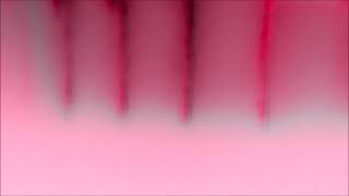 B5-146 Color Video Cc0 License