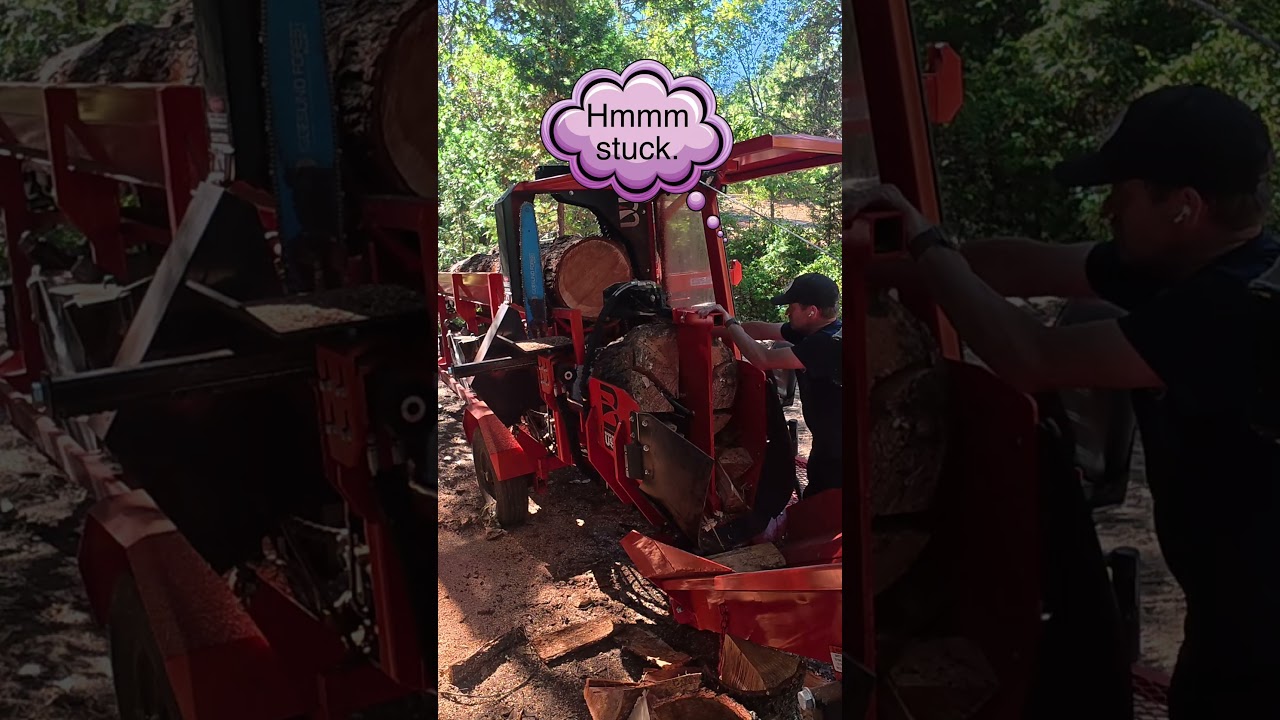 Firewood Processor Accident