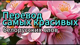 Самыя прыгожыя беларускія словы!