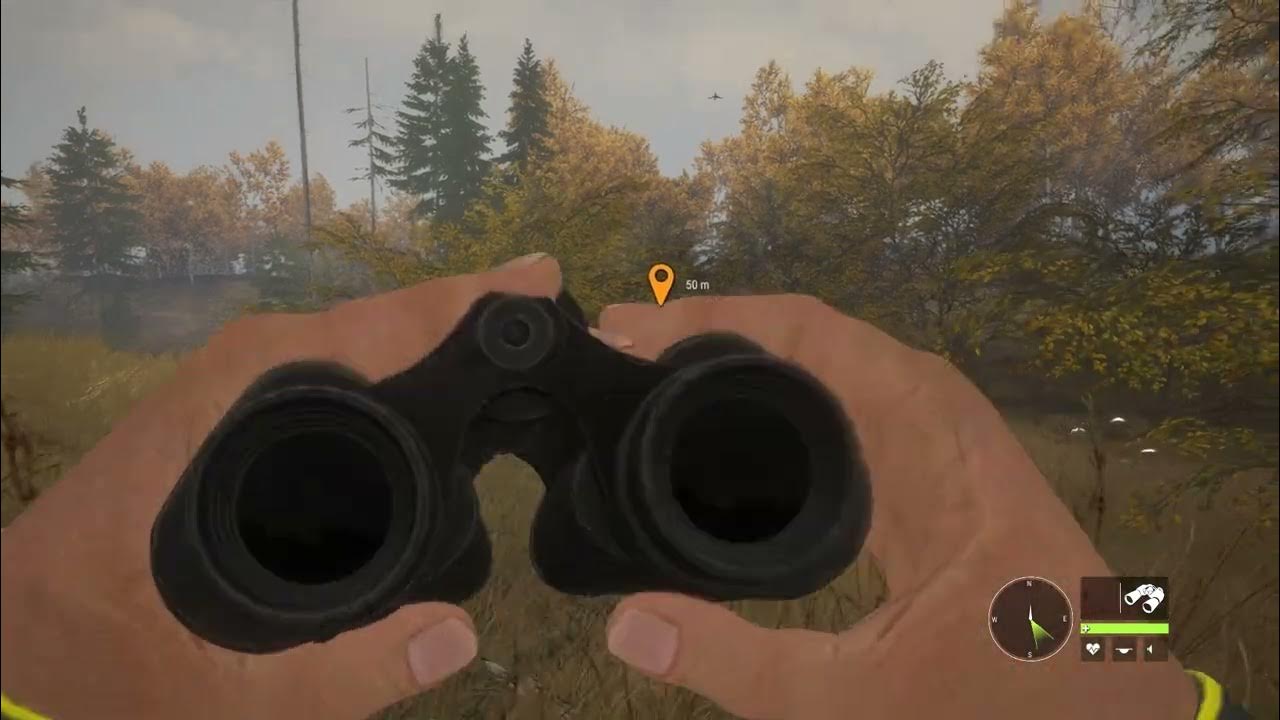 Black Bear Hunt Gone Wrong Hunter Call Of The Wild. YouTube