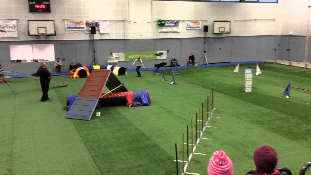 Agility German Classics 2014 Vanessa Scheller mit Geegee Granting Pleasure