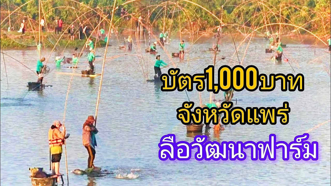 ลือวัฒนาฟาร์มจังหวัดแพร่บัตรราคา 1,000 บาท ปี2568 ปลาเยอะมากครับ