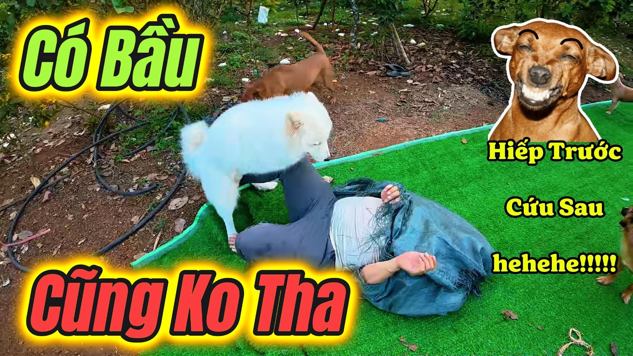 Có Bầu Mà Nó Cũng Không Tha _ H...i...ế...p Trước Cứu Sau.