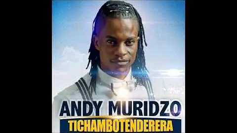 Andy Muridzo    Daira Tichambotenderera  Album  March 2017