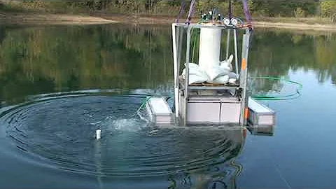 Full Video of fish tank action
