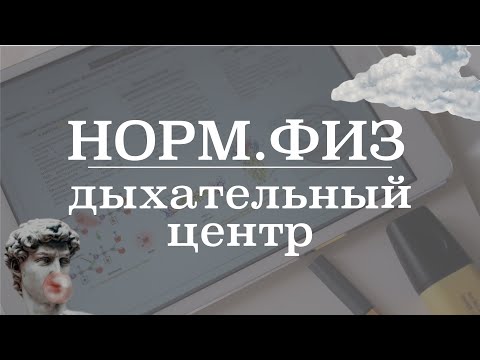 Дыхательный центр (строение, синдром Ундины) | Нормальная физиология