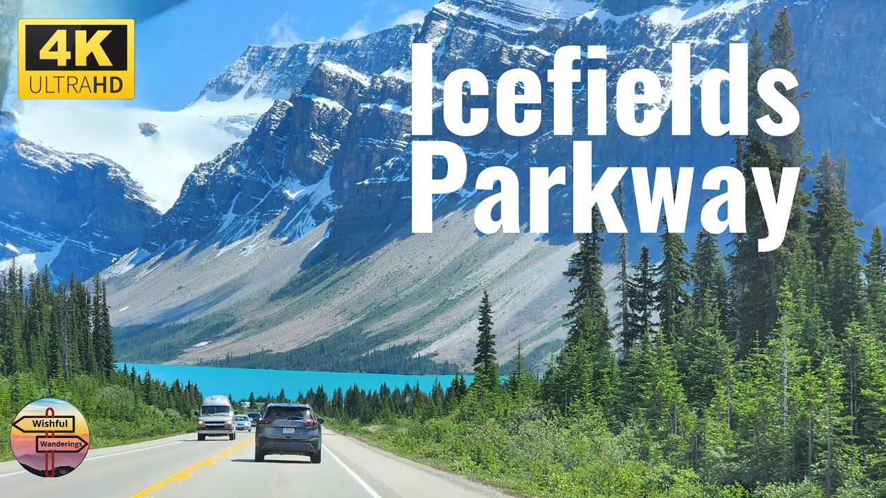Scenic Drive through the Icefields Parkway from Banff to Jasper | Hwy 93 | Bear Sightings
