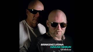 BRINKENSTJÄRNA - HÅKAN 'NORDMAN' HEMLIN -Det Sista Du Ser  (Radio Version)