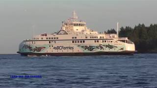 SALISH ORCA car & passenger Ferry 2019