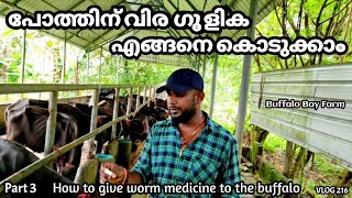 How to give worm medicine to the buffalo | Buffalo farm thrissur | Buffalo farm Kerala | Buffalofarm
