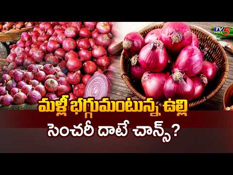 ఘాటెక్కుతున్న ఉల్లి..Onion Price Hike in Telugu States | Kurnool | TV5 NEWS - TV5NEWS