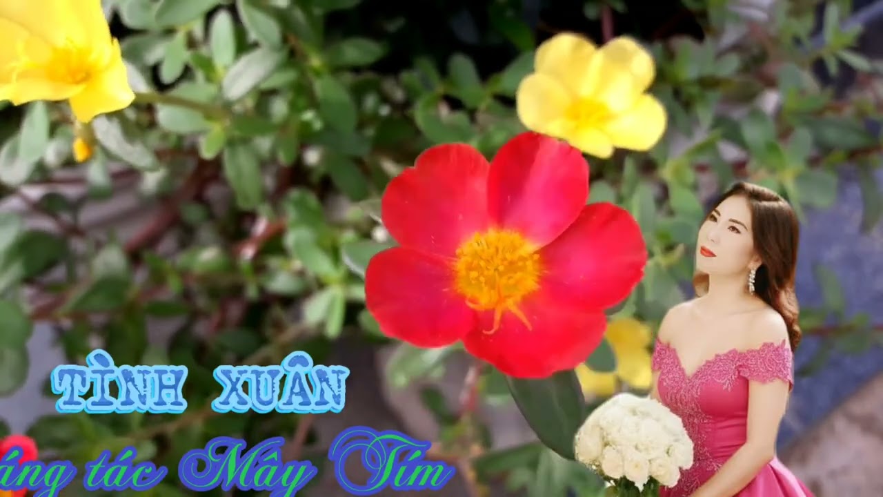 TÌNH XUÂN sáng tác Mây Tím TB AI 