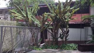 My Village Mall@ Serangoon Gardens MV screenshot 1