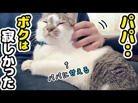 さあちんページです♬*° A day when dad is away He's always cold towards her, but after