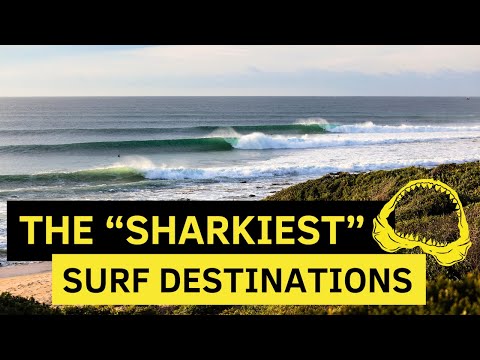 The “Sharkiest” Surf Destinations in the World…