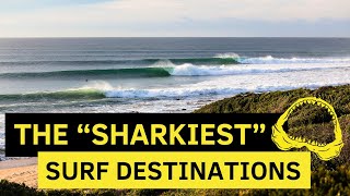 The “Sharkiest” Surf Destinations in the World…