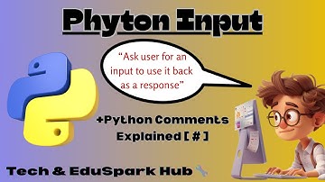 Python Input Function & Comments Explained for Beginners #3