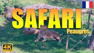 Safari 🇫🇷 🦒Worlds of Wild Safari Peaugres, Top Zoo and Animal Park in France, Walking tour [4K]
