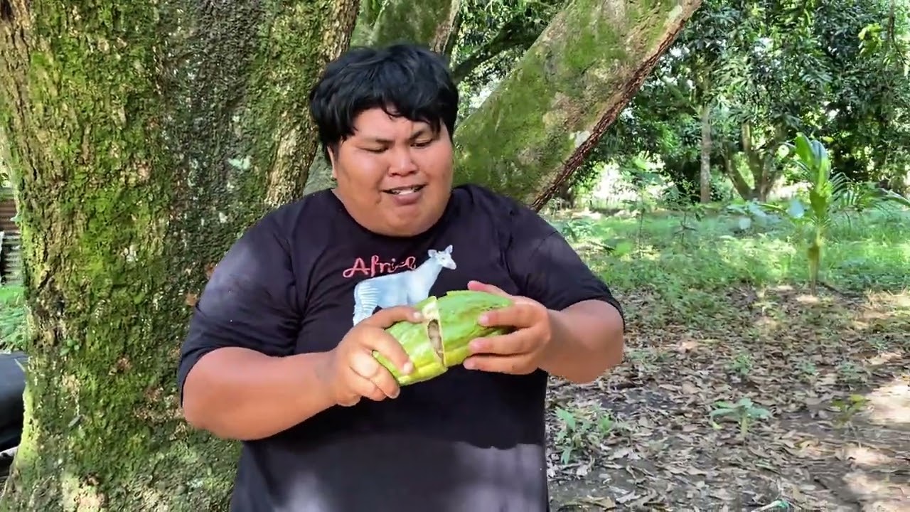 Impas Ang kakaw ni damulag|bisayavines