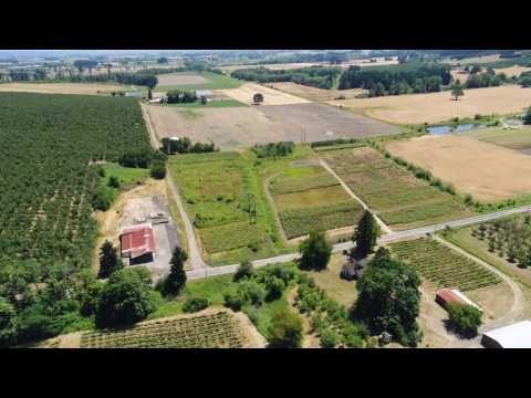 49690 NW Hillside Rd, Forest Grove, OR home video tour