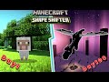I Beat Minecraft as Every Mob (Shape Shifting Challenge)