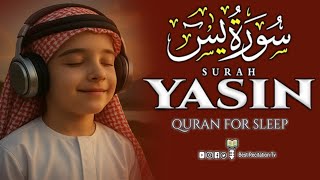 Download Lagu Calming Heart Touching Recitation Of Surah Yasin(سورة يٰس) For Sleep | Ep. 29 | surate yasin full MP3