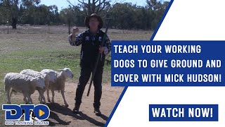 Teach Your Working Dogs To Give Ground And Cover With Mick Hudson!