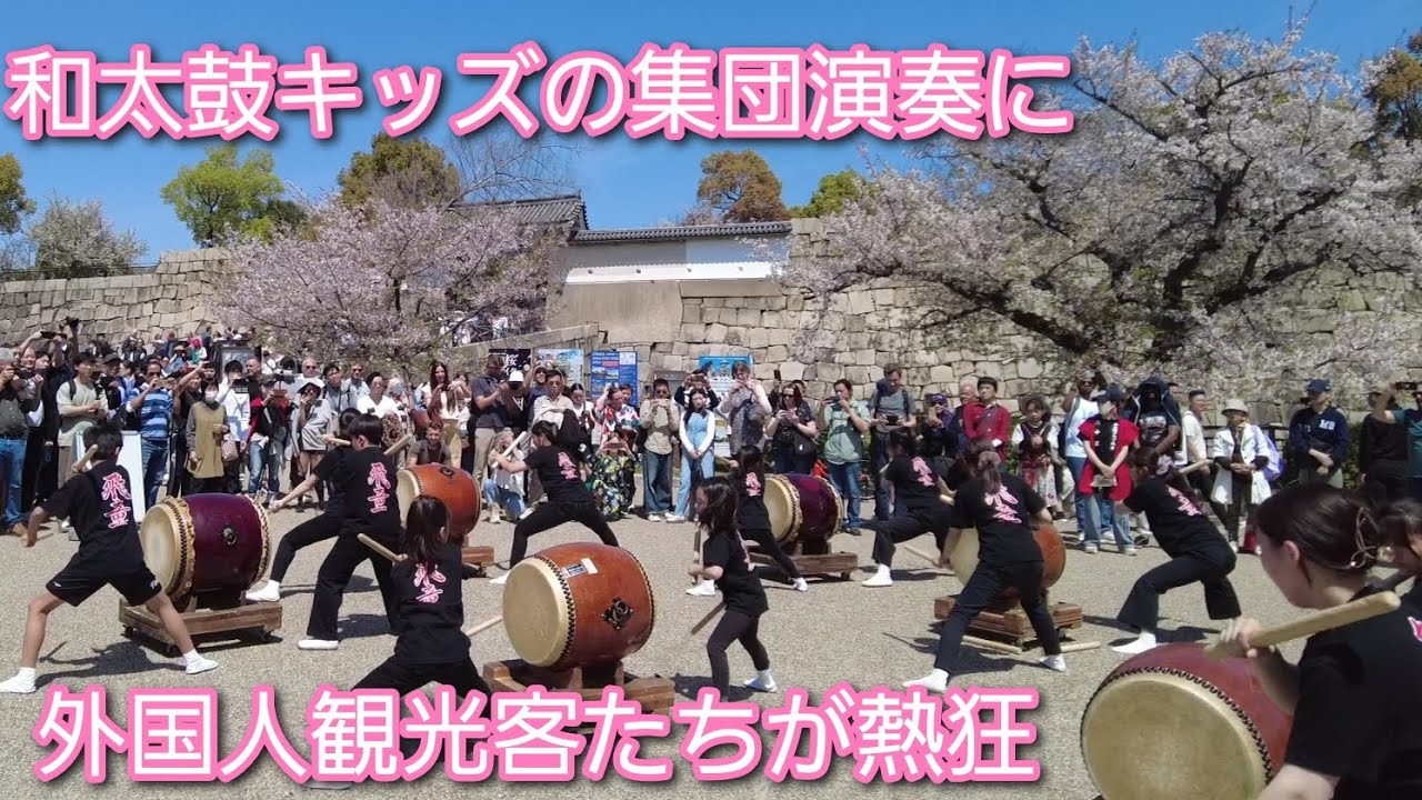 和太鼓キッズの迫力ある集団演奏に外国人観光客たちの拍手が終わらない。満開の桜の大阪城