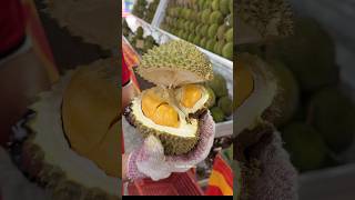 Download Lagu Must Try! Fresh Organic Durian - Fruit Cutting Skills MP3